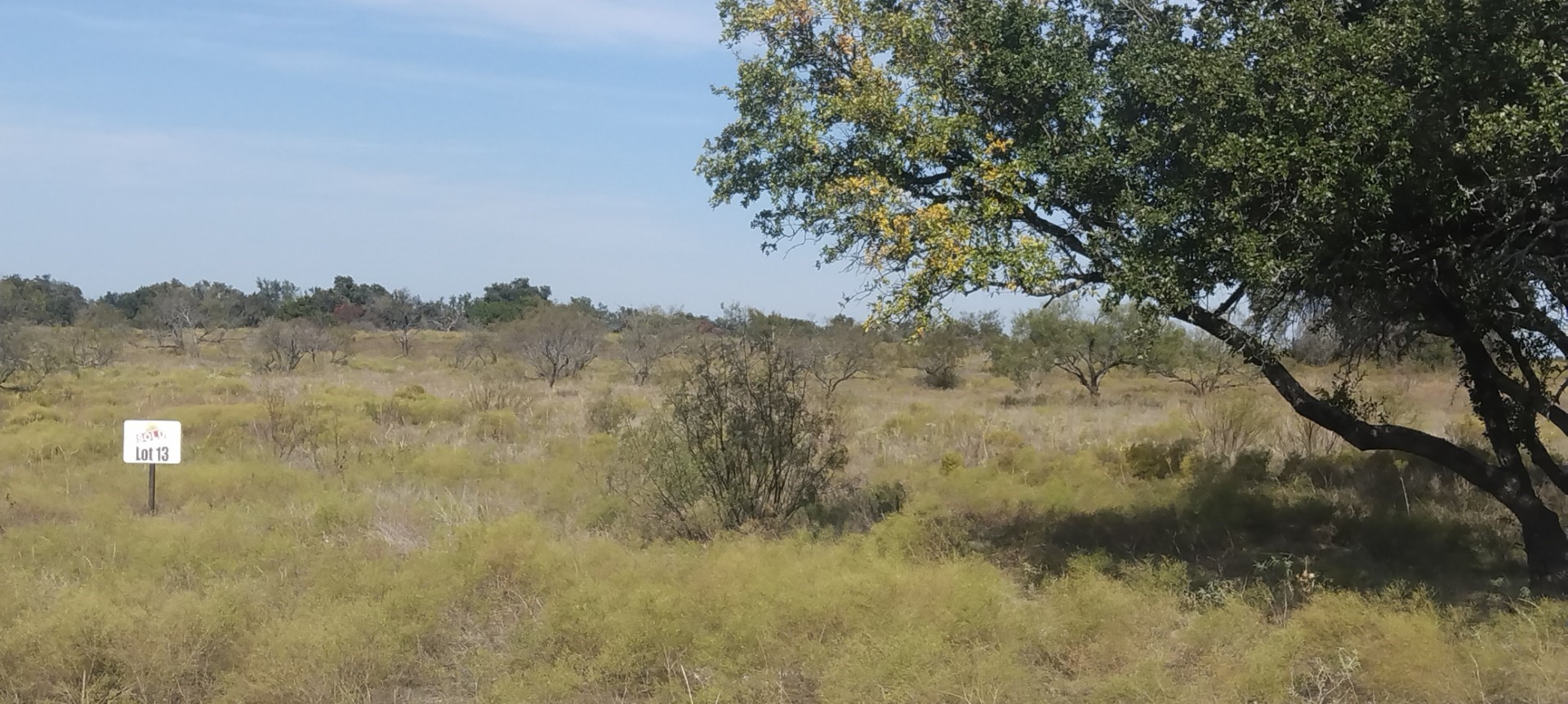 0 Pecan Valley Drive Energy TX 76452
