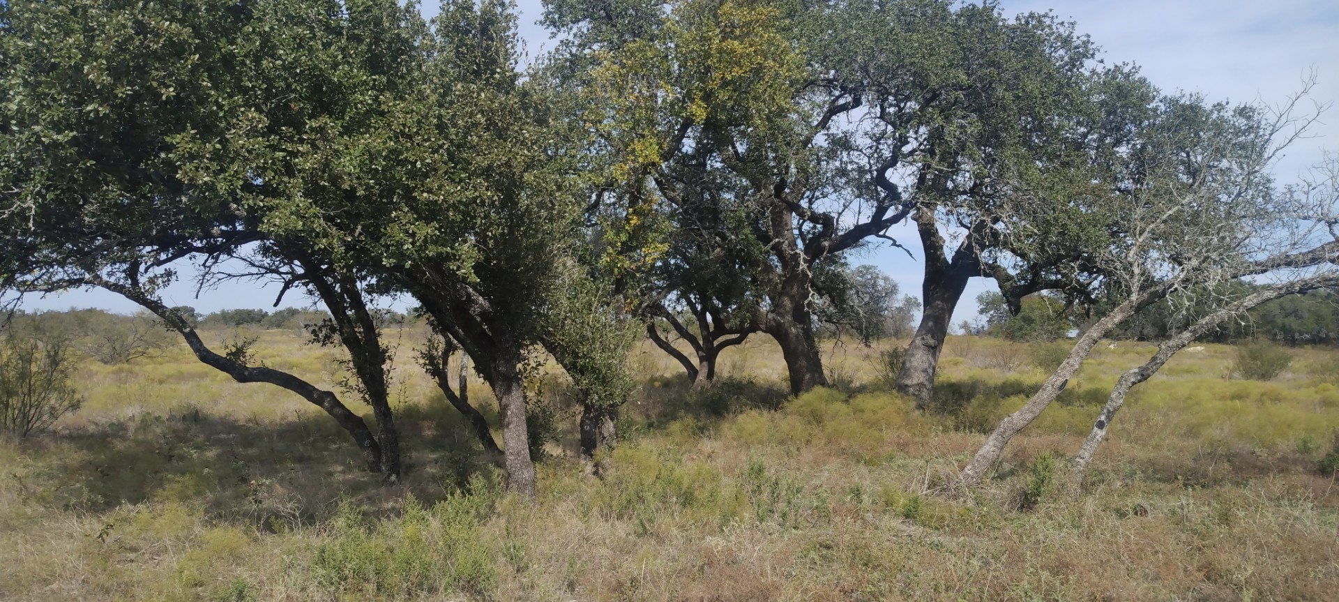 0 Pecan Valley Drive Energy TX 76452