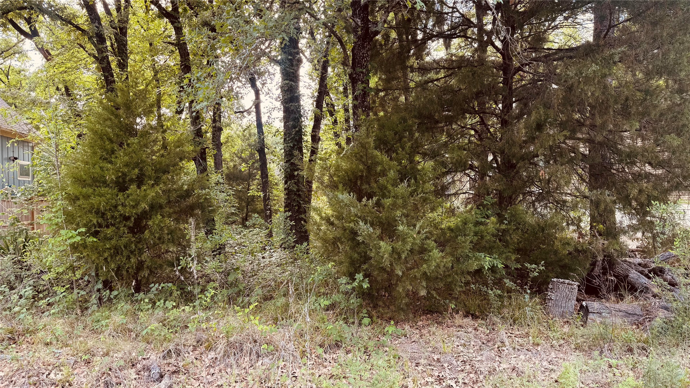 141 Elk Cove Drive Mabank TX 75156