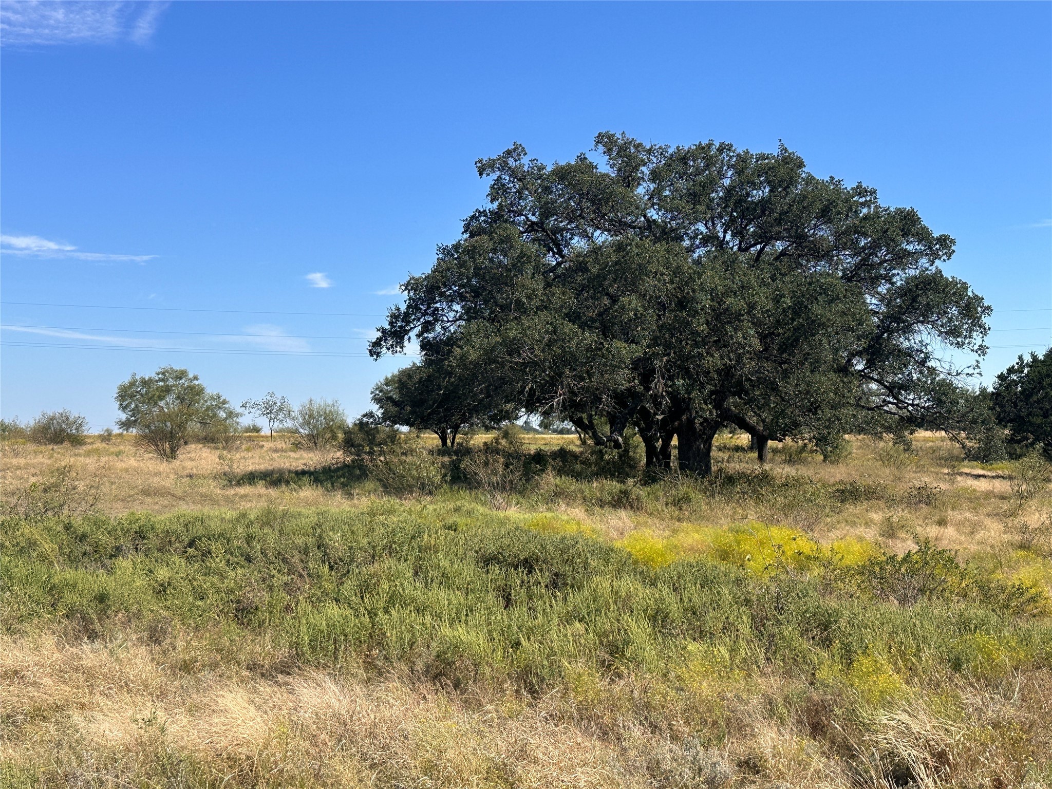 Tbd Lot 24 Mystic Mountain Drive Energy TX 76452