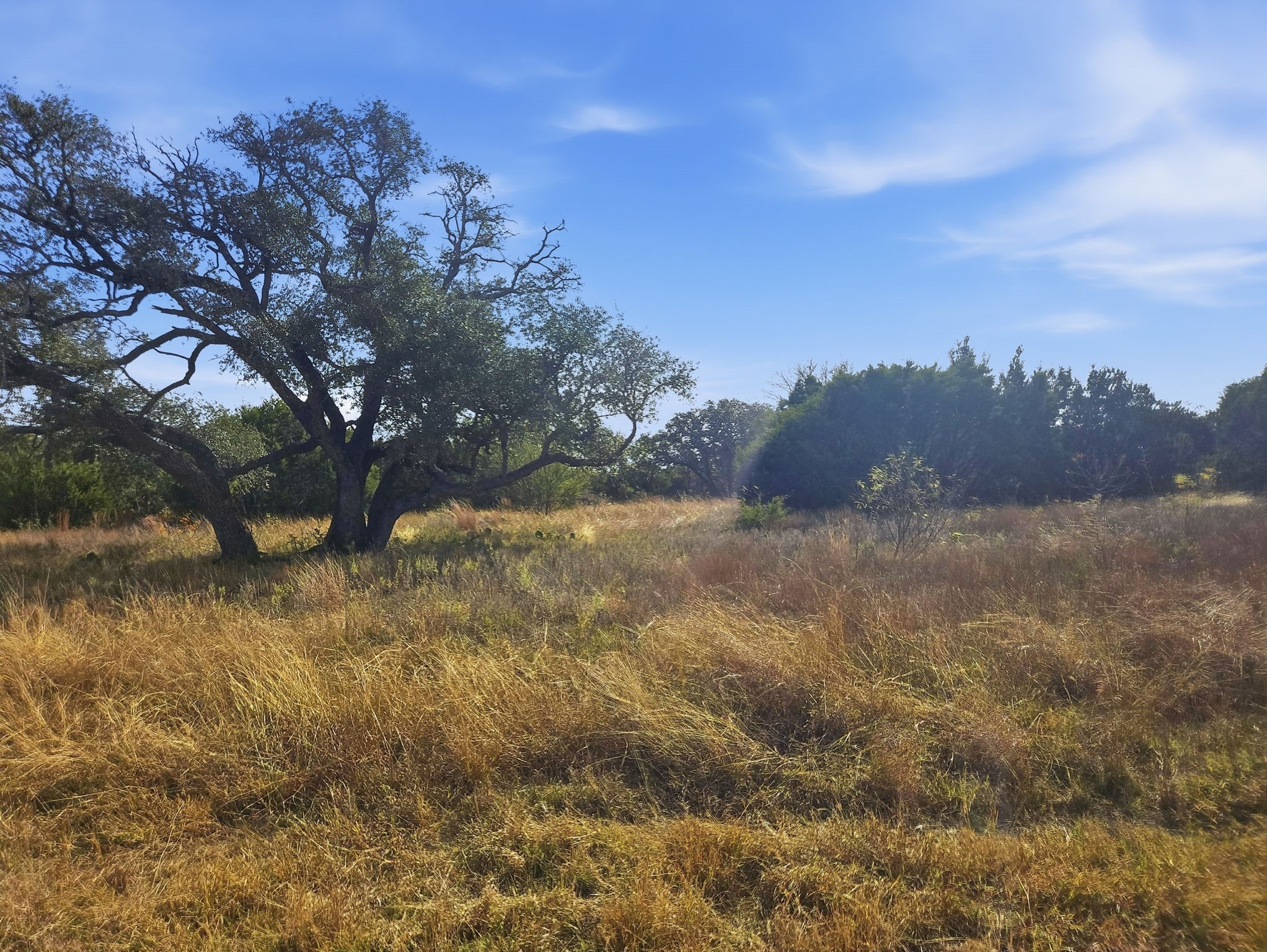 Lot 25 & 26 Ph 4 Pr 4212 Evant TX 76525