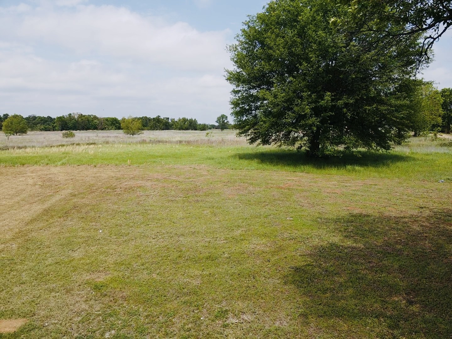 4065 Pine Mill Paris TX 75462