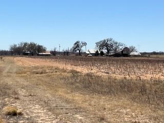710 County Road 280 Rising Star TX 76471