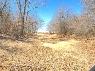 710 County Road 280 Rising Star TX 76471