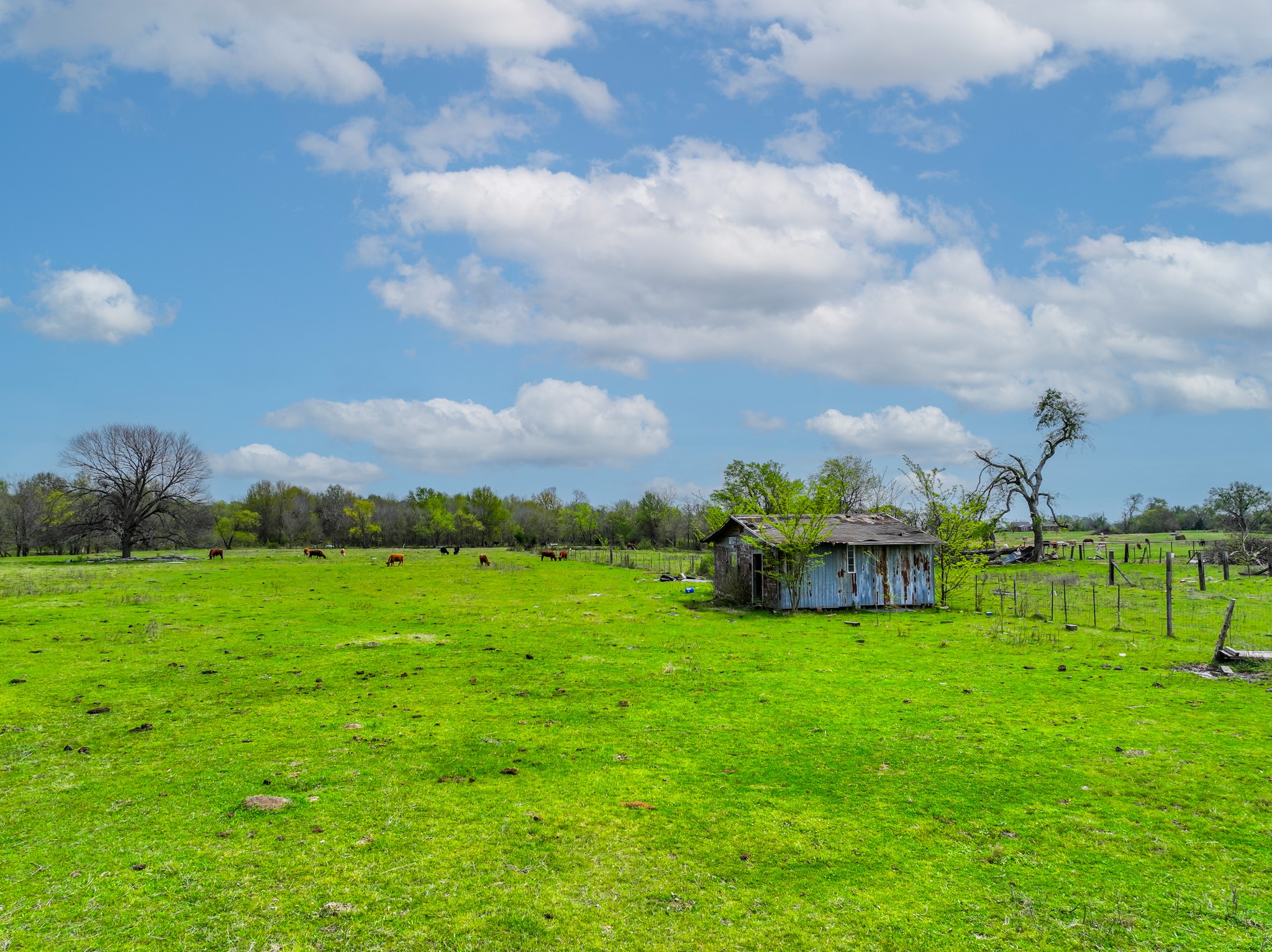 3646 Fm-2285 Sulphur Springs TX 75482