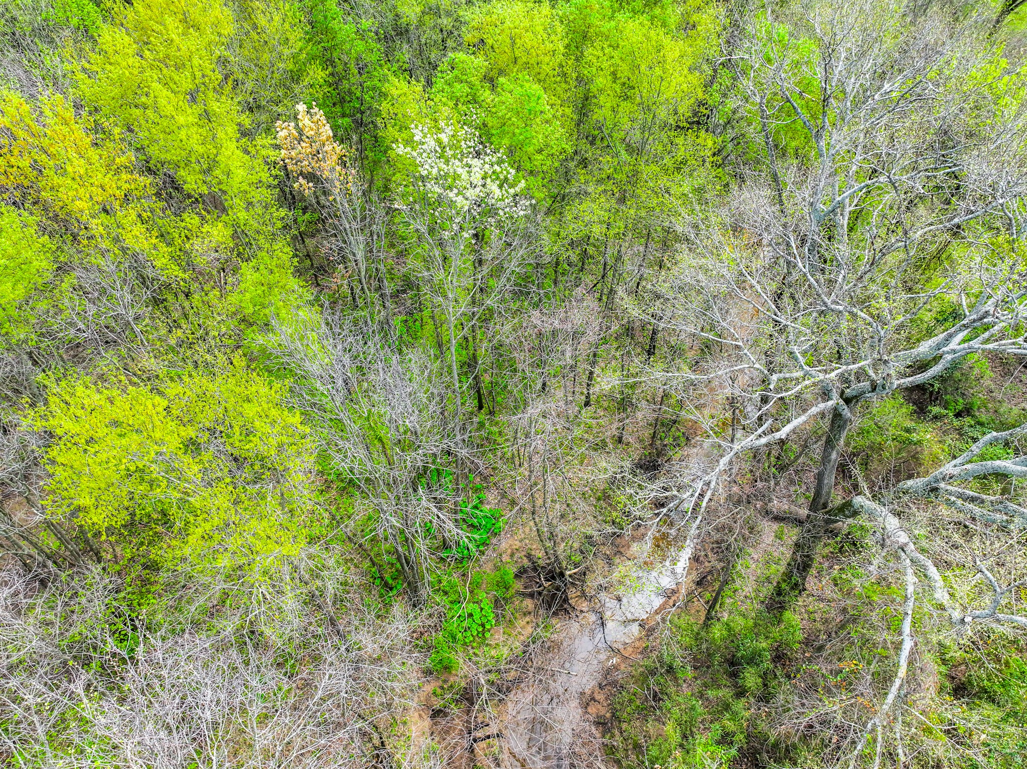 3646 Fm-2285 Sulphur Springs TX 75482