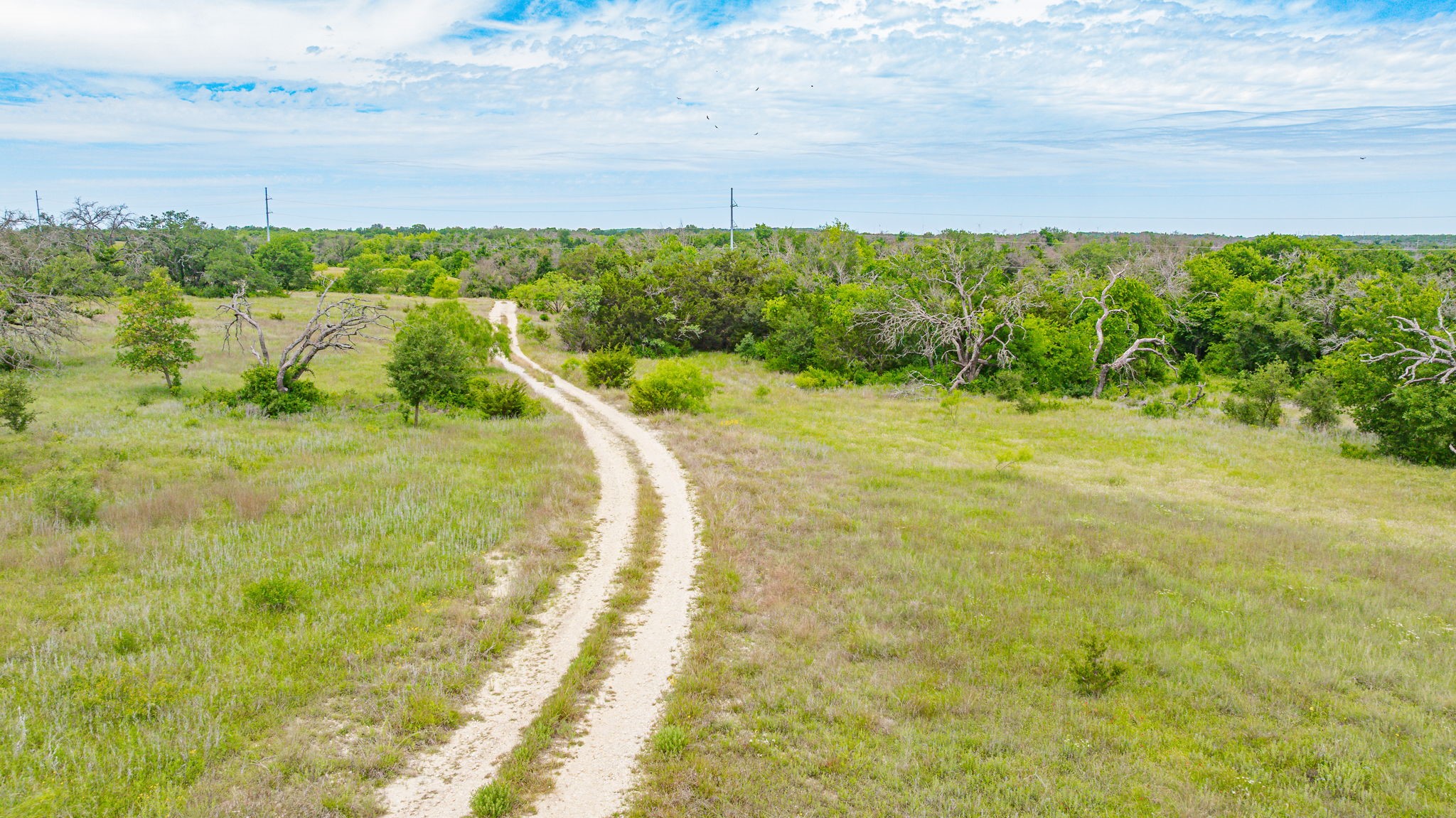 31080 W Fm 8 Dublin TX 76446