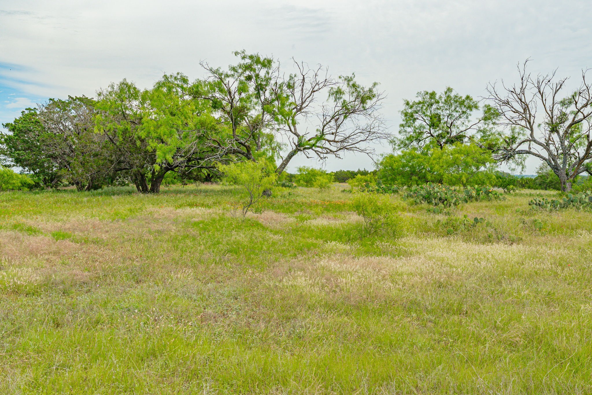 31080 W Fm 8 Dublin TX 76446