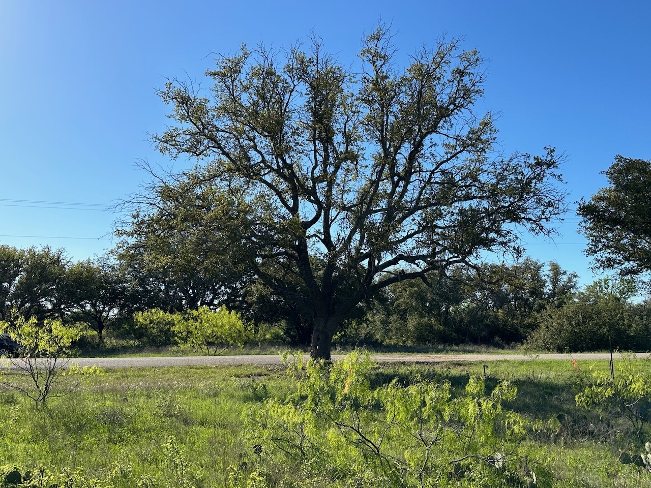 461 Feather Bay Boulevard Brownwood TX 76801