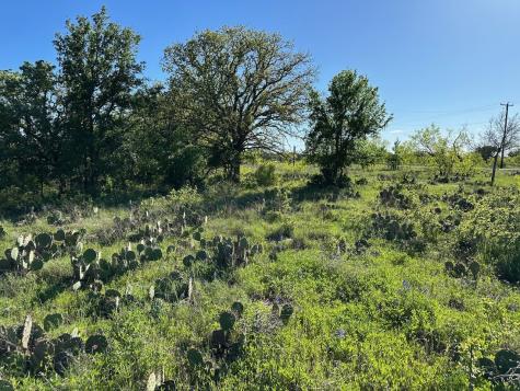 461 Feather Bay Boulevard Brownwood TX 76801