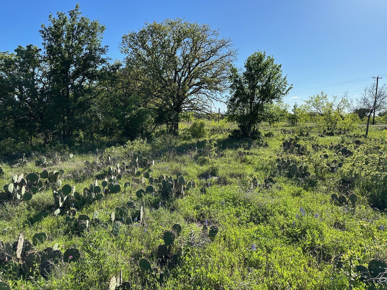 461 Feather Bay Boulevard Brownwood TX 76801