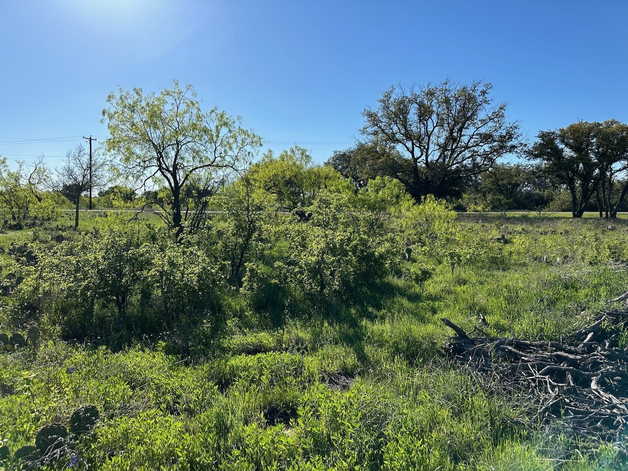461 Feather Bay Boulevard Brownwood TX 76801