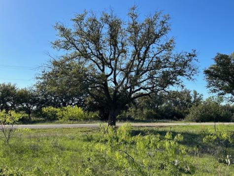 461 Feather Bay Boulevard Brownwood TX 76801