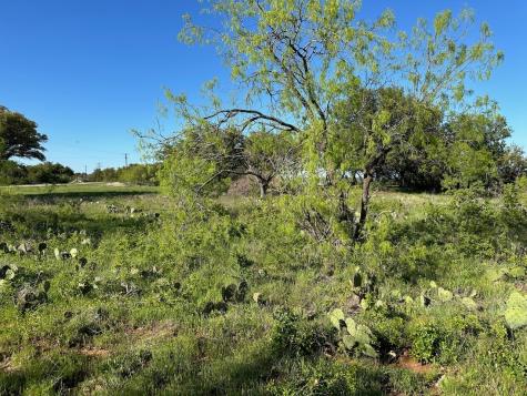 461 Feather Bay Boulevard Brownwood TX 76801