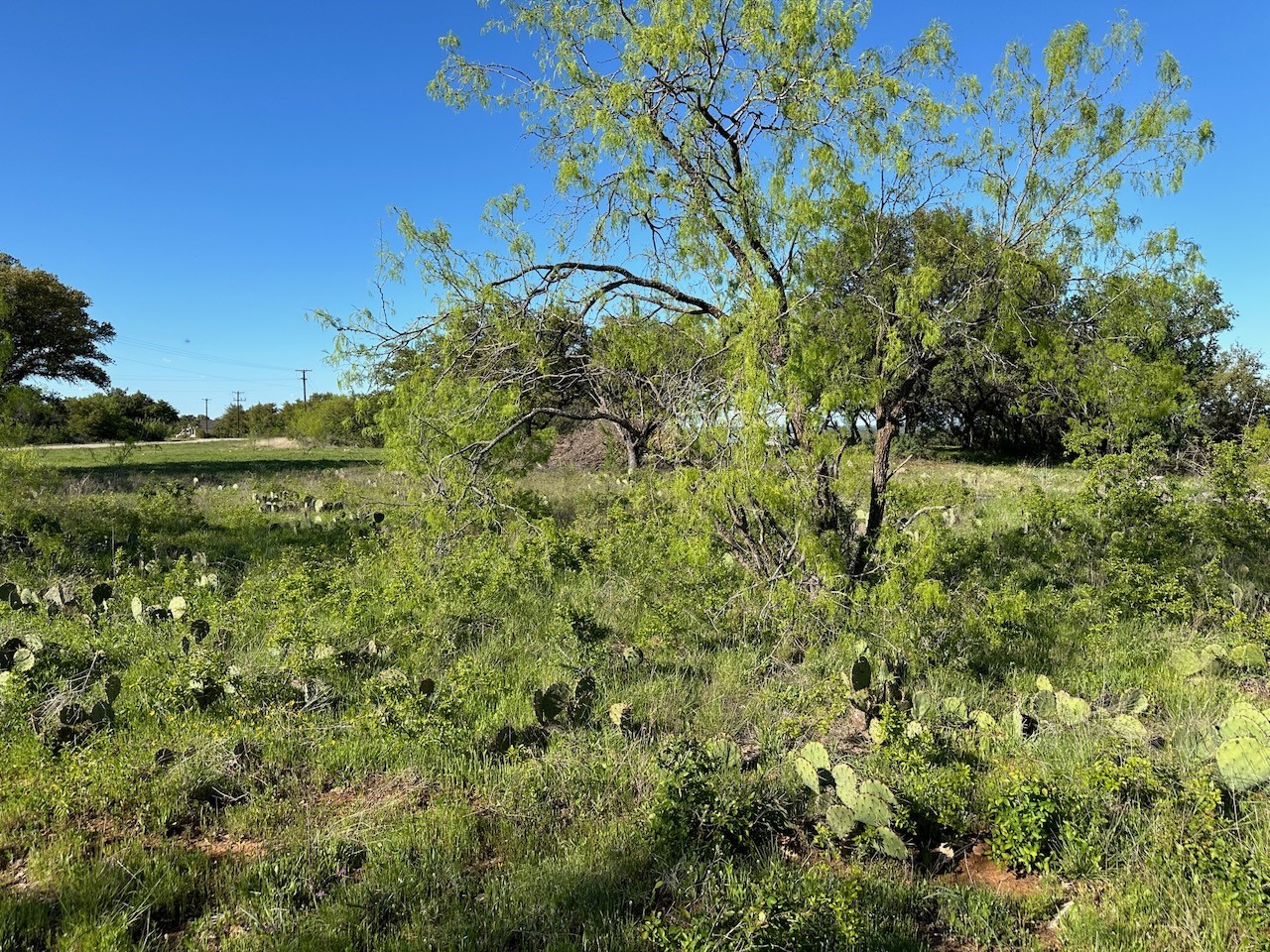 461 Feather Bay Boulevard Brownwood TX 76801