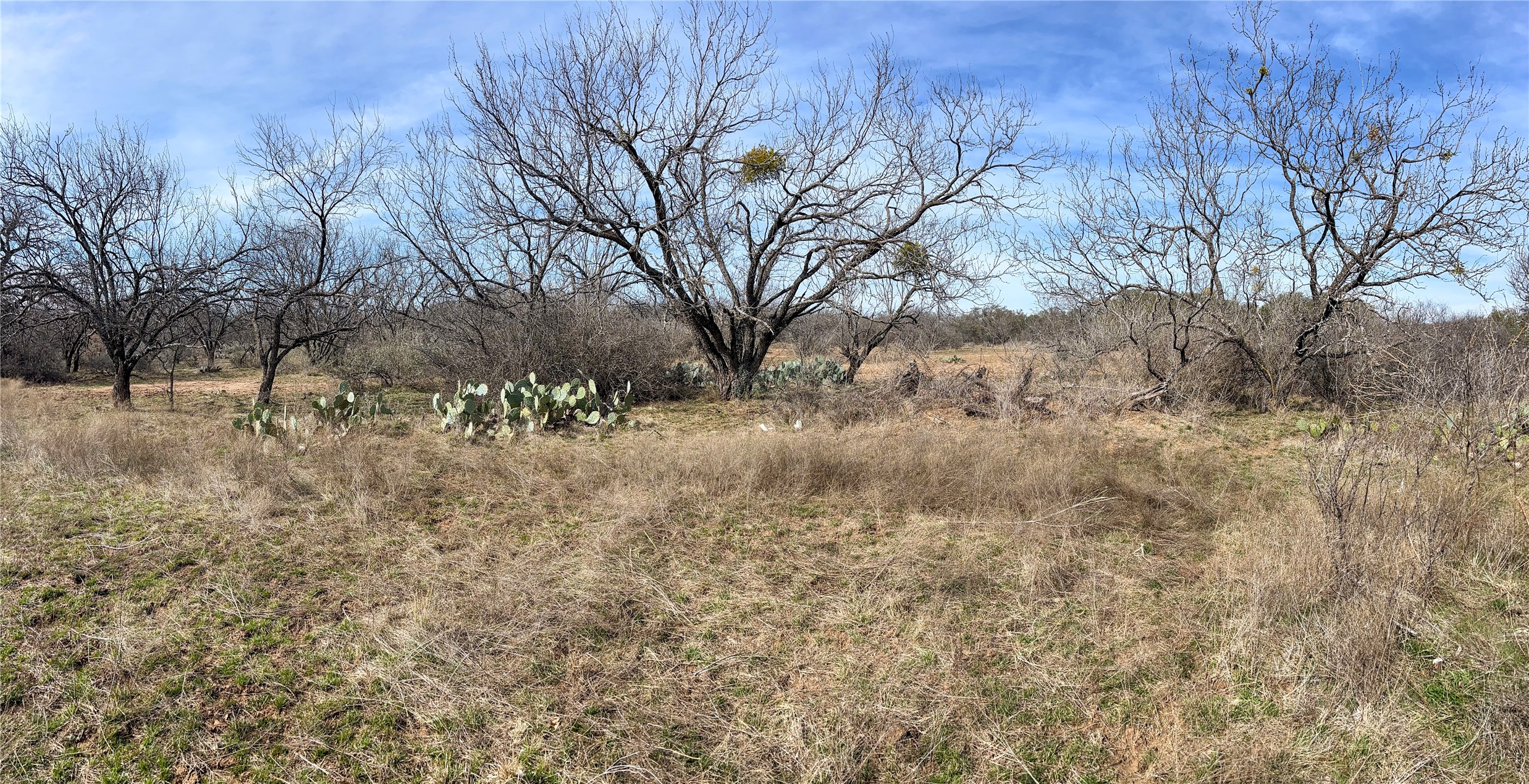1349 County Road 152 Brownwood TX 76801