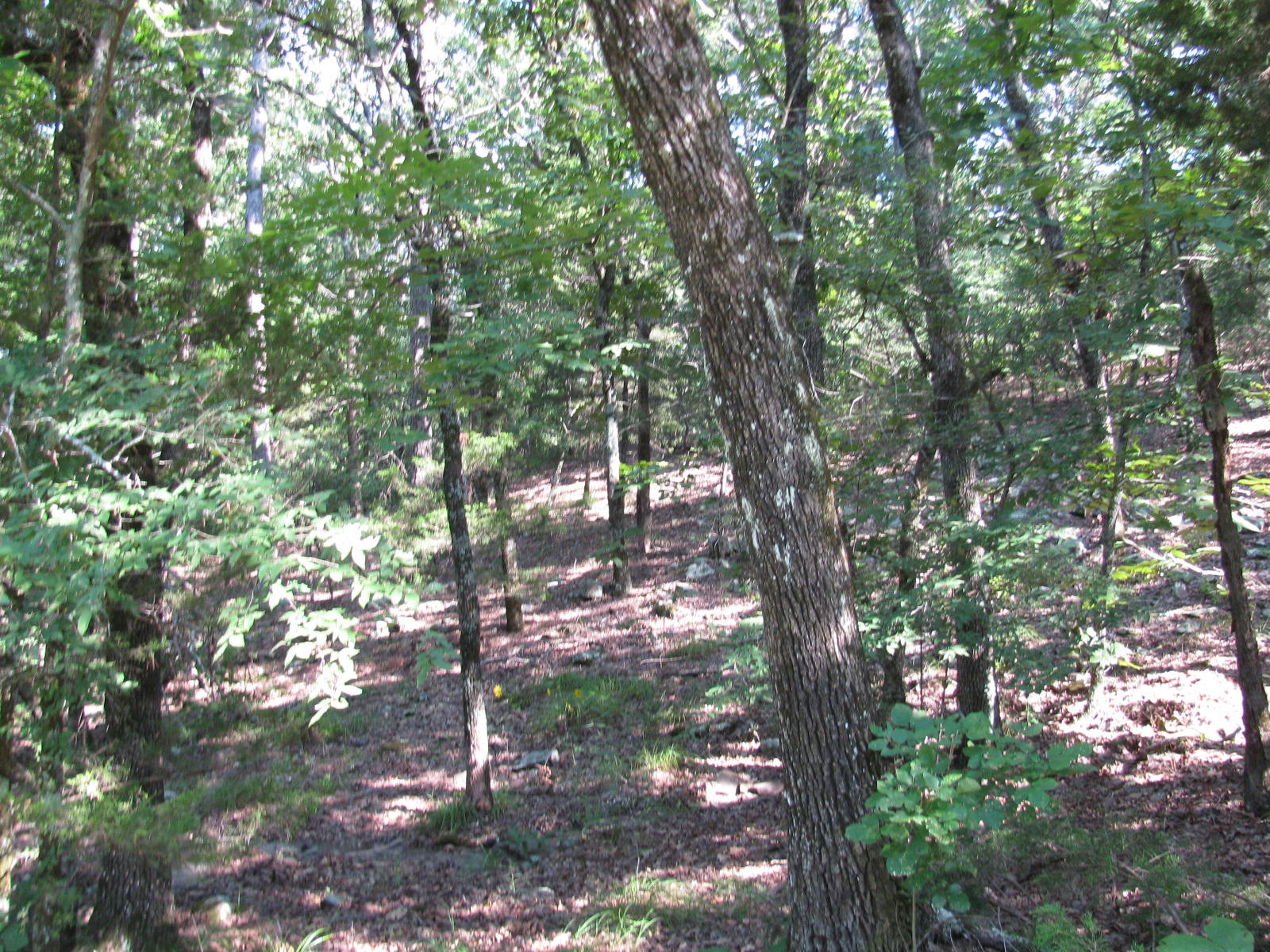 Tbd N 4309 Lane Tuskahoma OK 74574