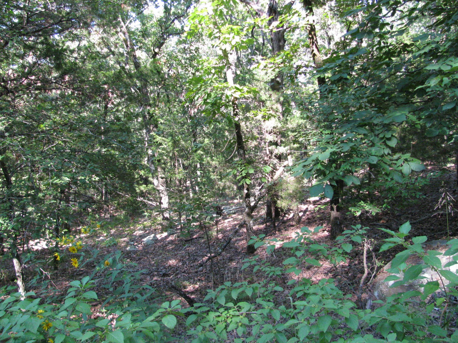Tbd N 4309 Lane Tuskahoma OK 74574