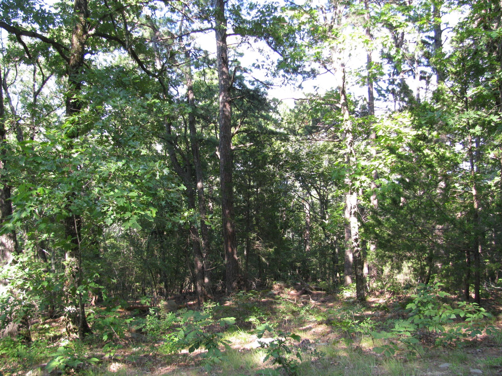 Tbd N 4309 Lane Tuskahoma OK 74574