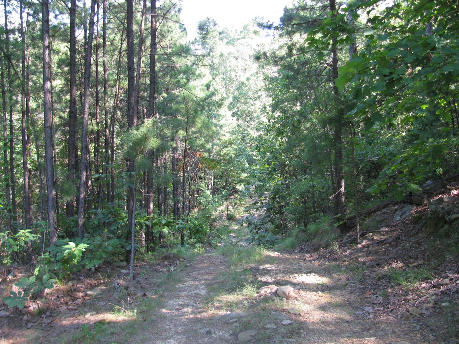 Tbd N 4309 Lane Tuskahoma OK 74574