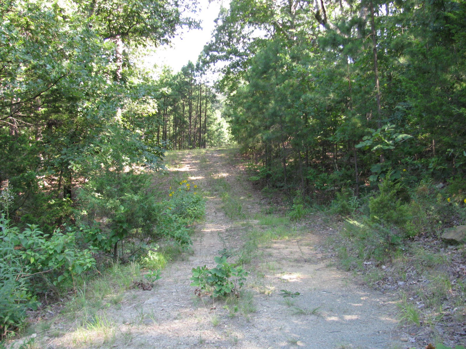 Tbd N 4309 Lane Tuskahoma OK 74574