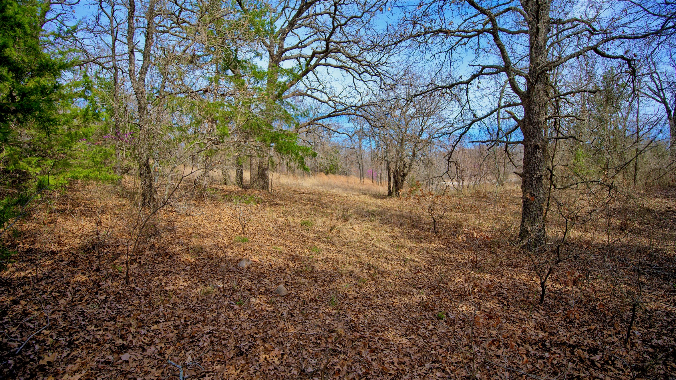 1887 Red Oak Hills Road Nocona TX 76255