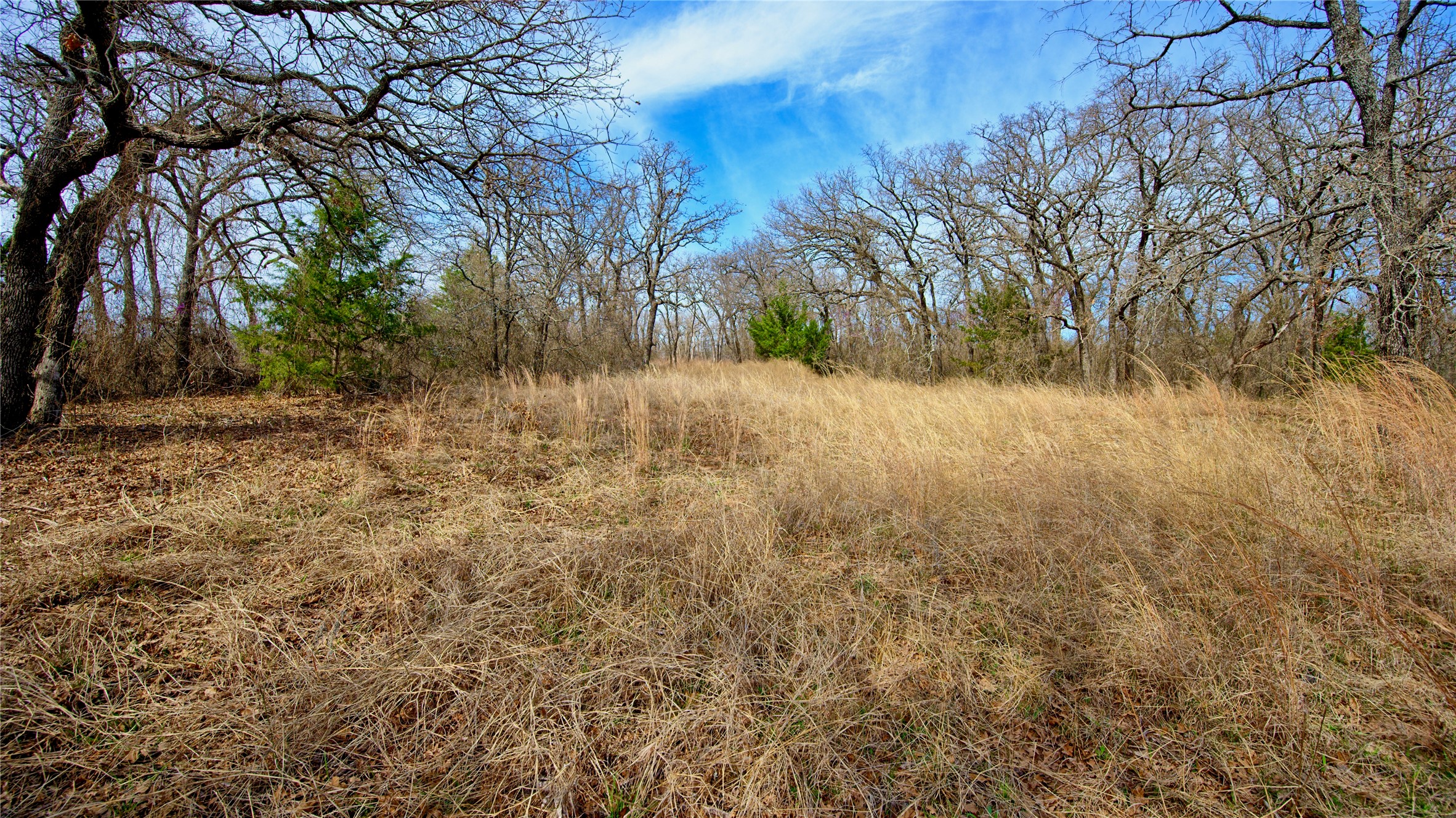 1887 Red Oak Hills Road Nocona TX 76255