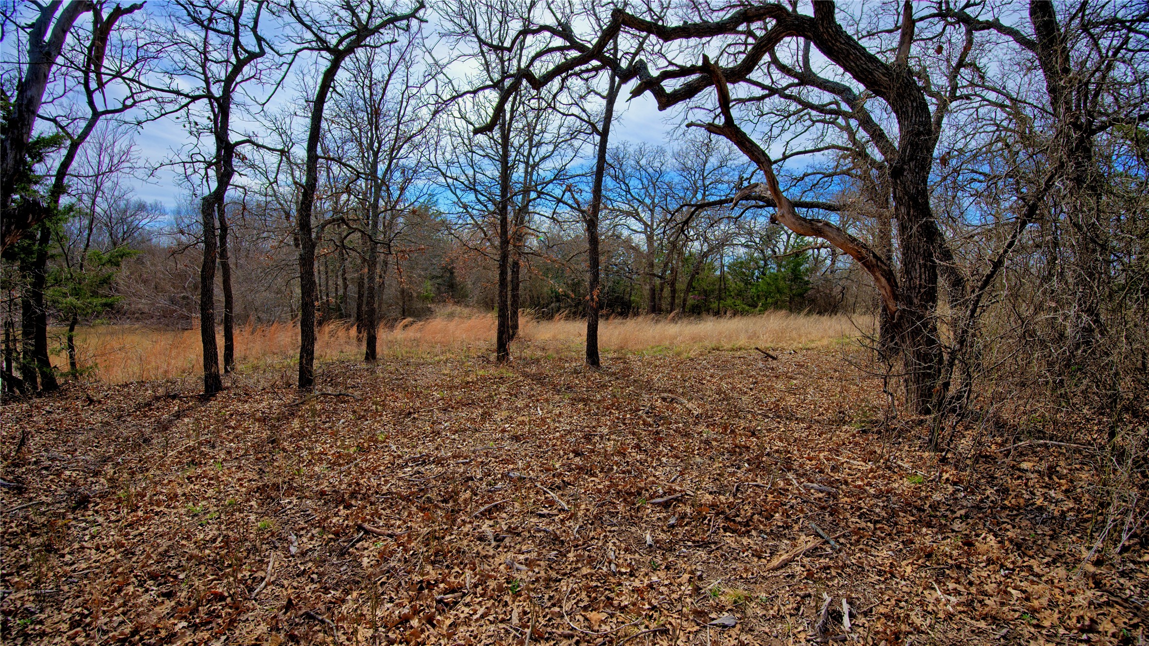 1887 Red Oak Hills Road Nocona TX 76255
