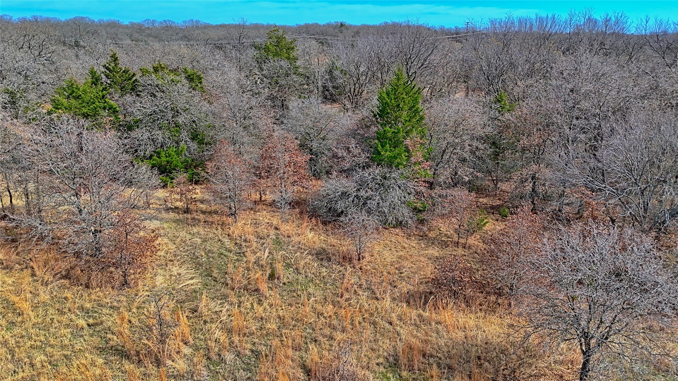 1887 Red Oak Hills Road Nocona TX 76255