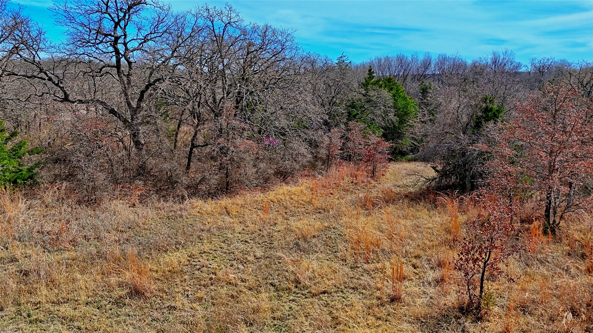 1887 Red Oak Hills Road Nocona TX 76255