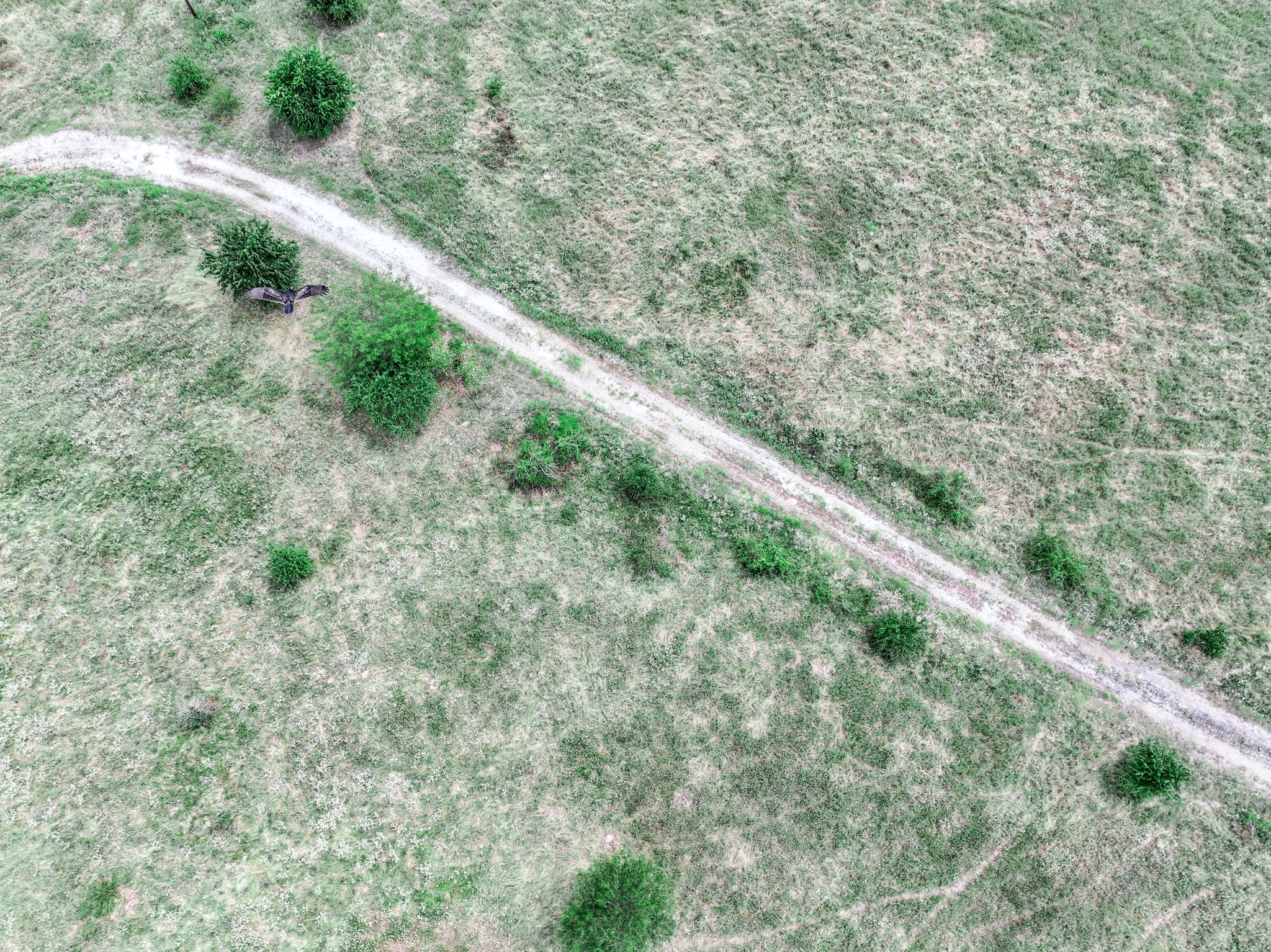 000 Fm 71 Highway Talco TX 75487