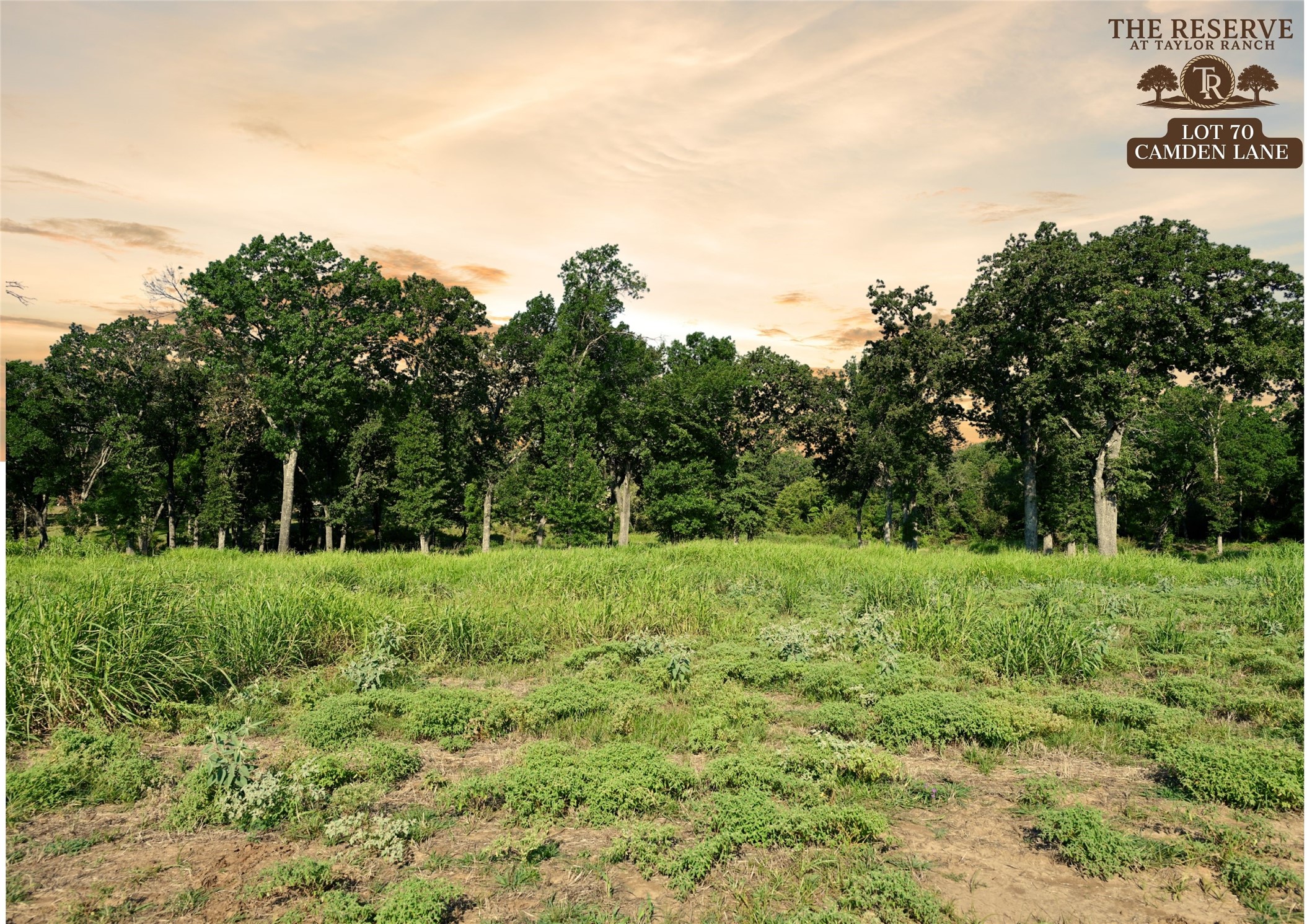 Lot 70 Camden Street Springtown TX 76082