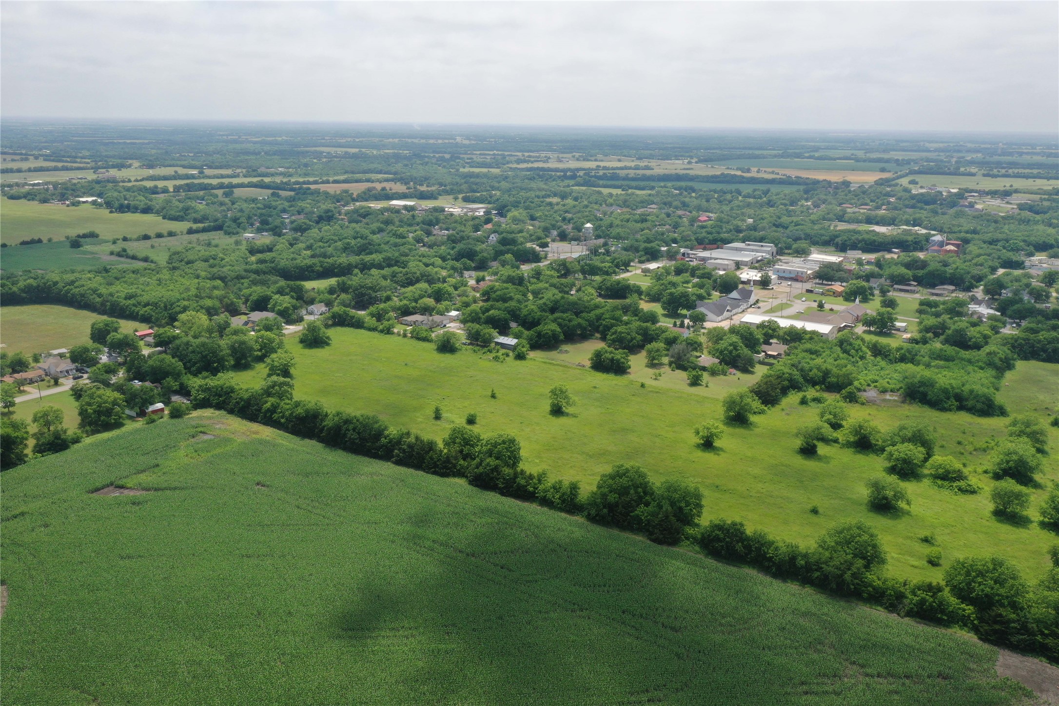 29.366 Ac South Side Highway 69 Trenton TX 75490