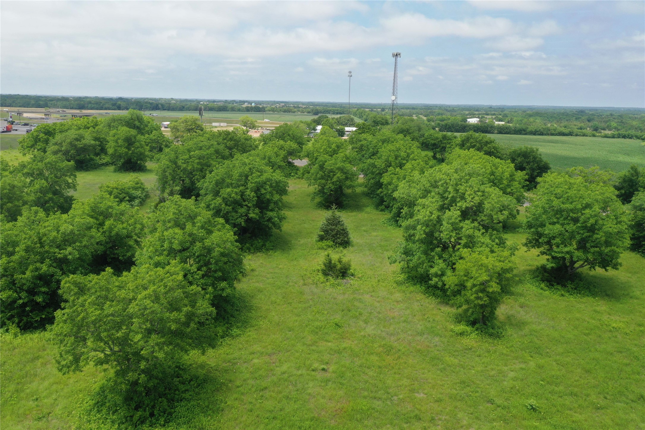 29.366 Ac South Side Highway 69 Trenton TX 75490