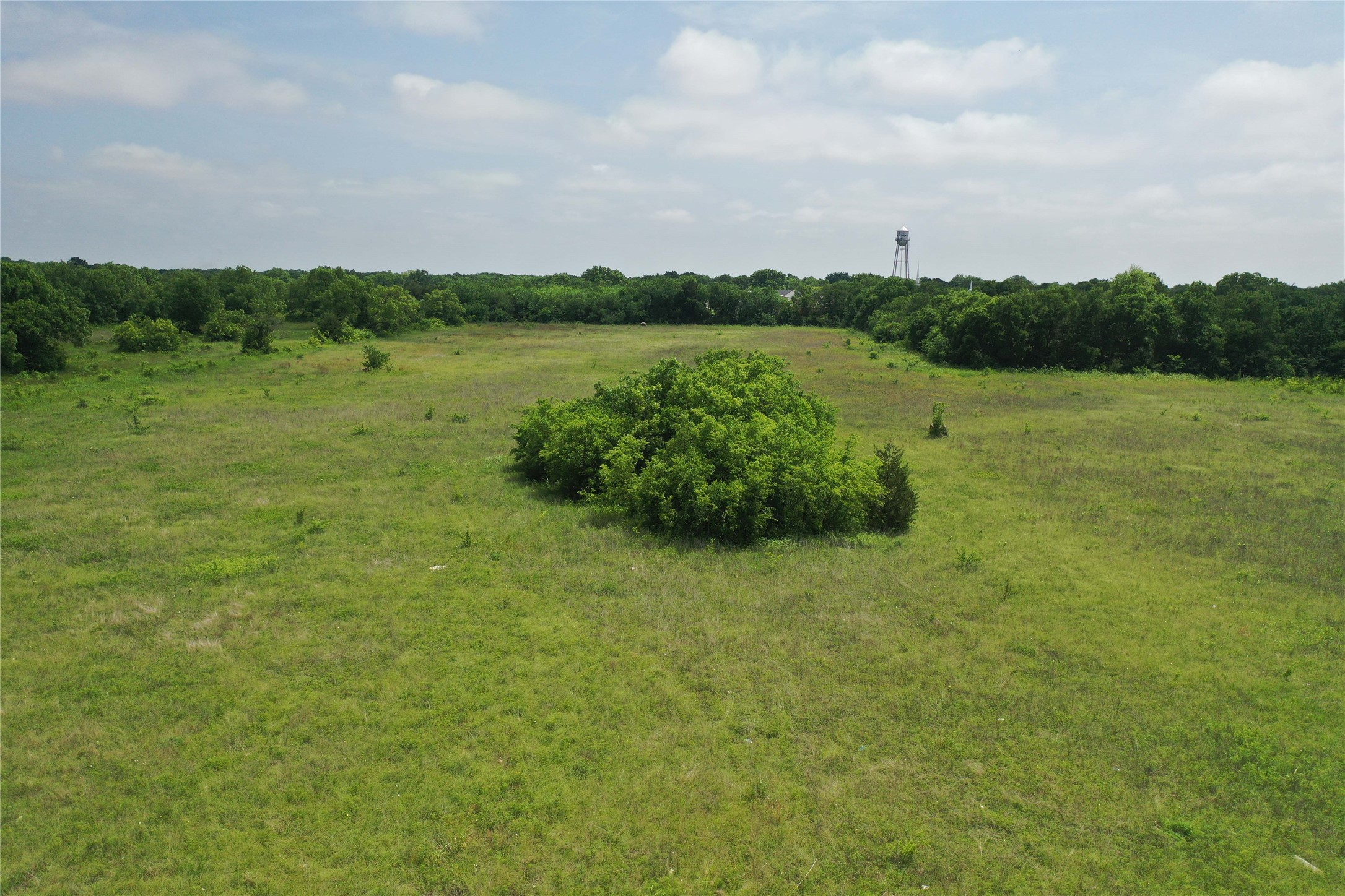 29.366 Ac South Side Highway 69 Trenton TX 75490