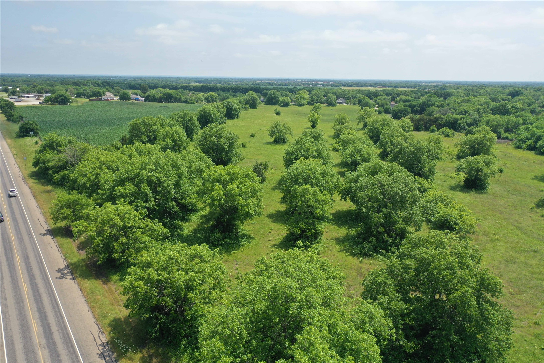 29.366 Ac South Side Highway 69 Trenton TX 75490