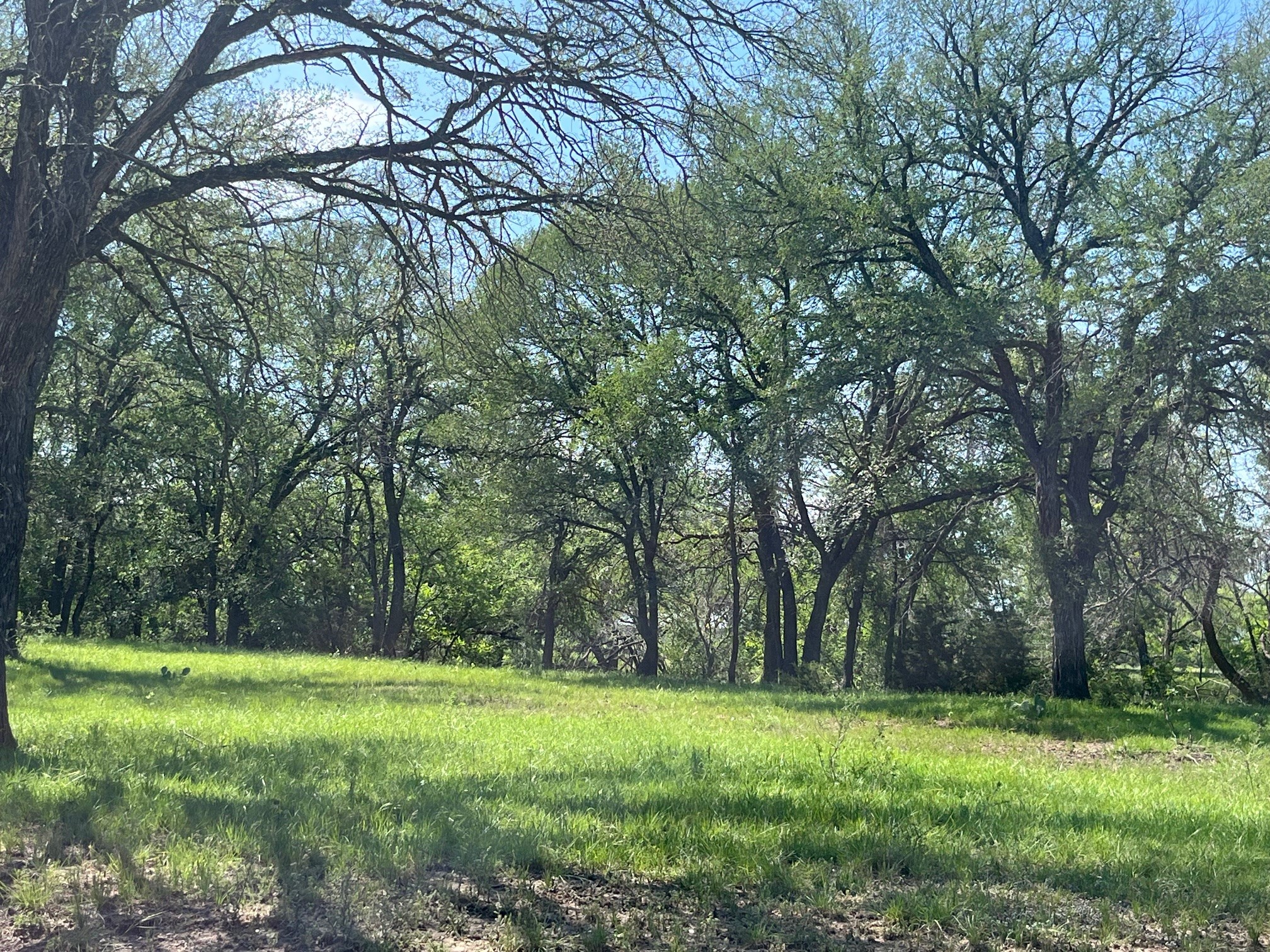 4849 Fm 1030 San Saba TX 76877