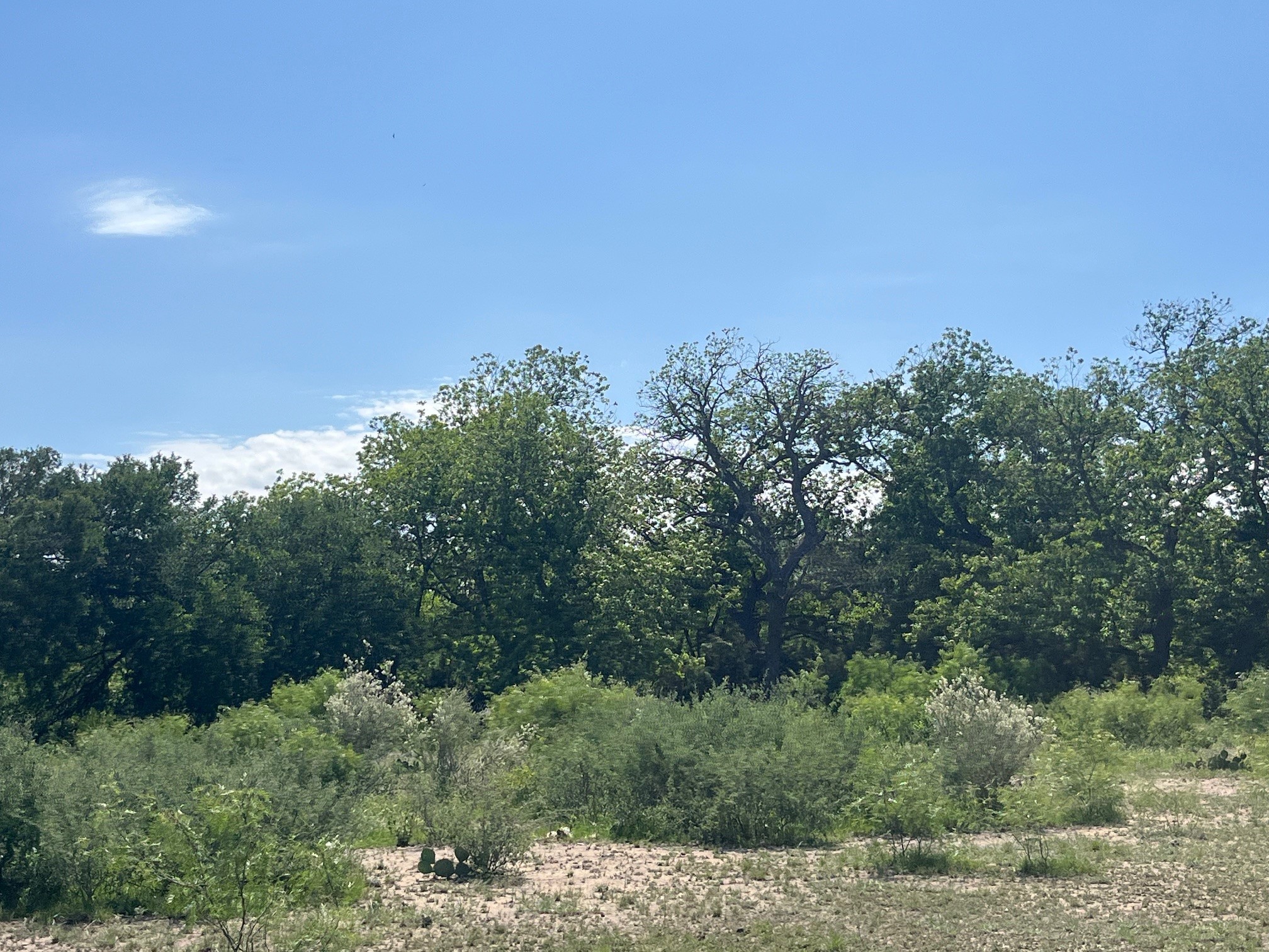 4849 Fm 1030 San Saba TX 76877