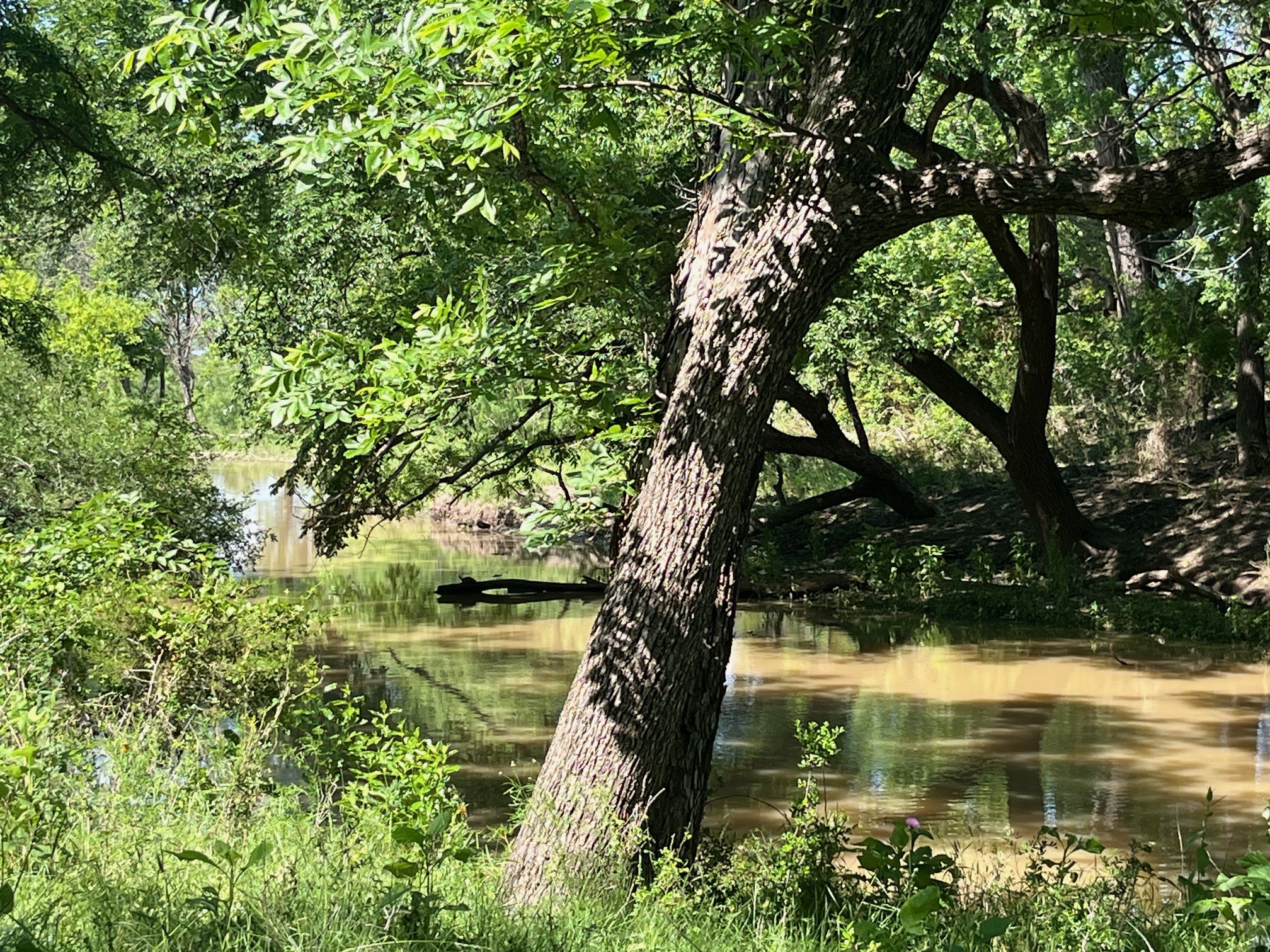 4849 Fm 1030 San Saba TX 76877