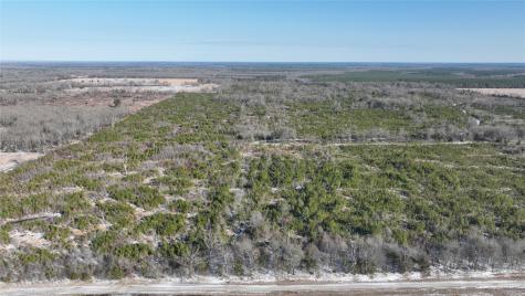 Tbd County Road 2242 Bagwell TX 75412