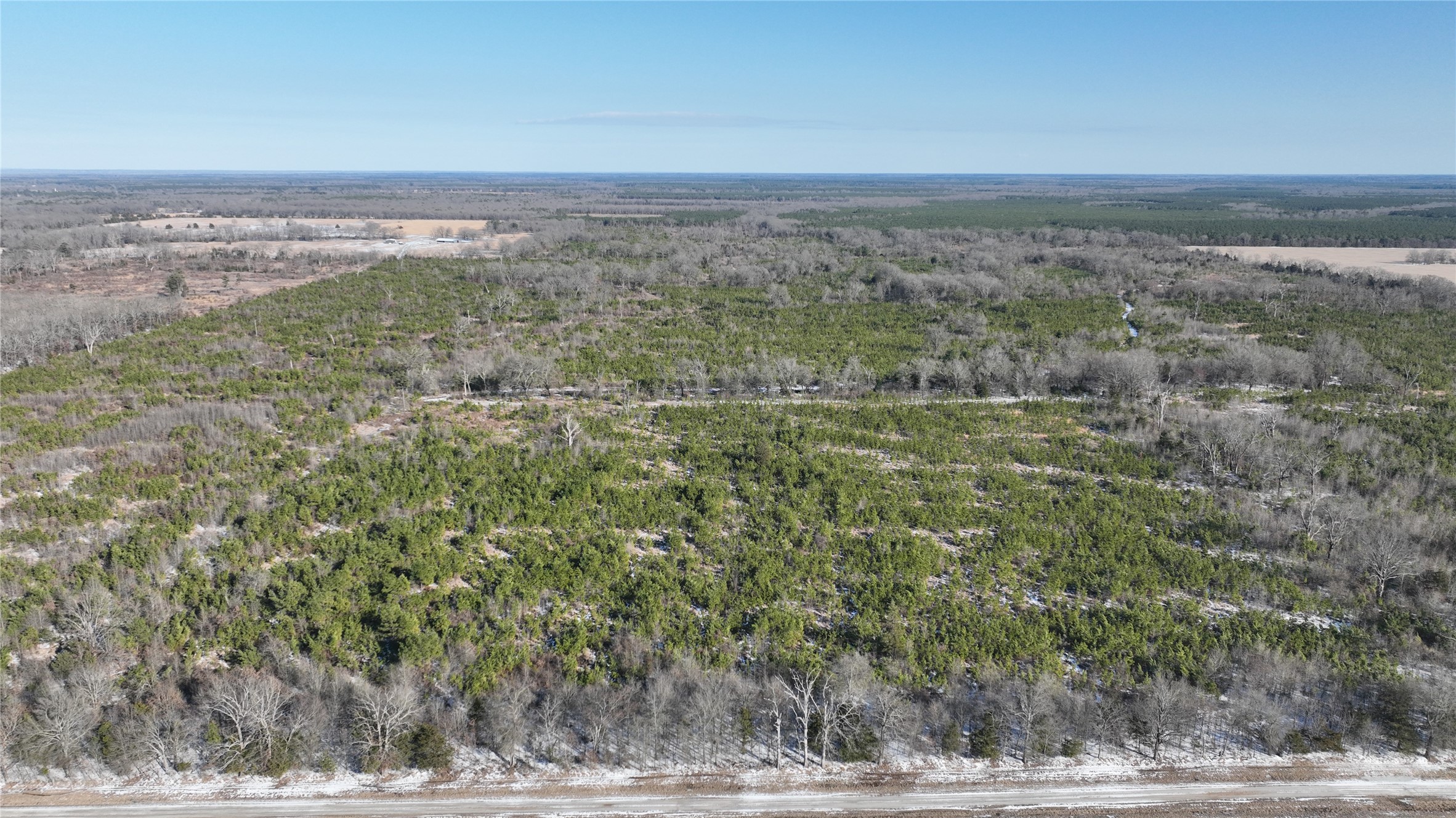 Tbd County Road 2242 Bagwell TX 75412