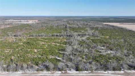 Tbd County Road 2242 Bagwell TX 75412