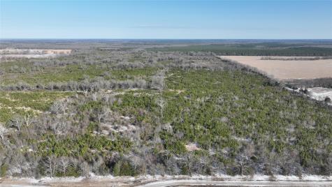 Tbd County Road 2242 Bagwell TX 75412