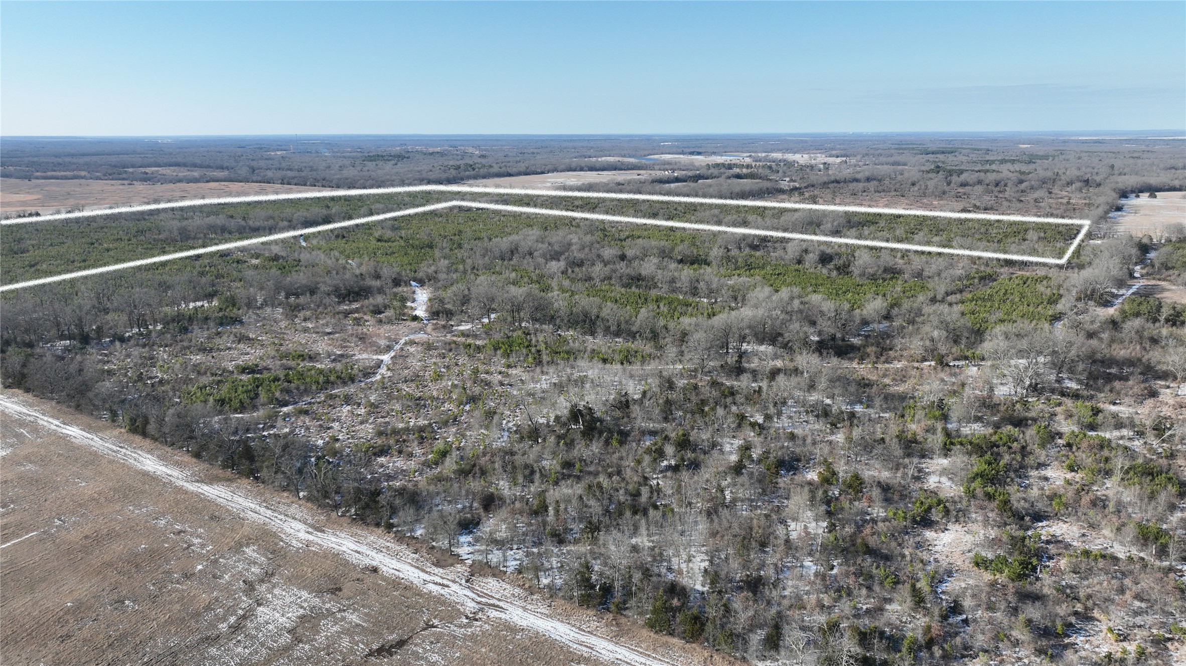 Tbd County Road 2242 Bagwell TX 75412