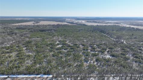 Tbd County Road 2242 Bagwell TX 75412