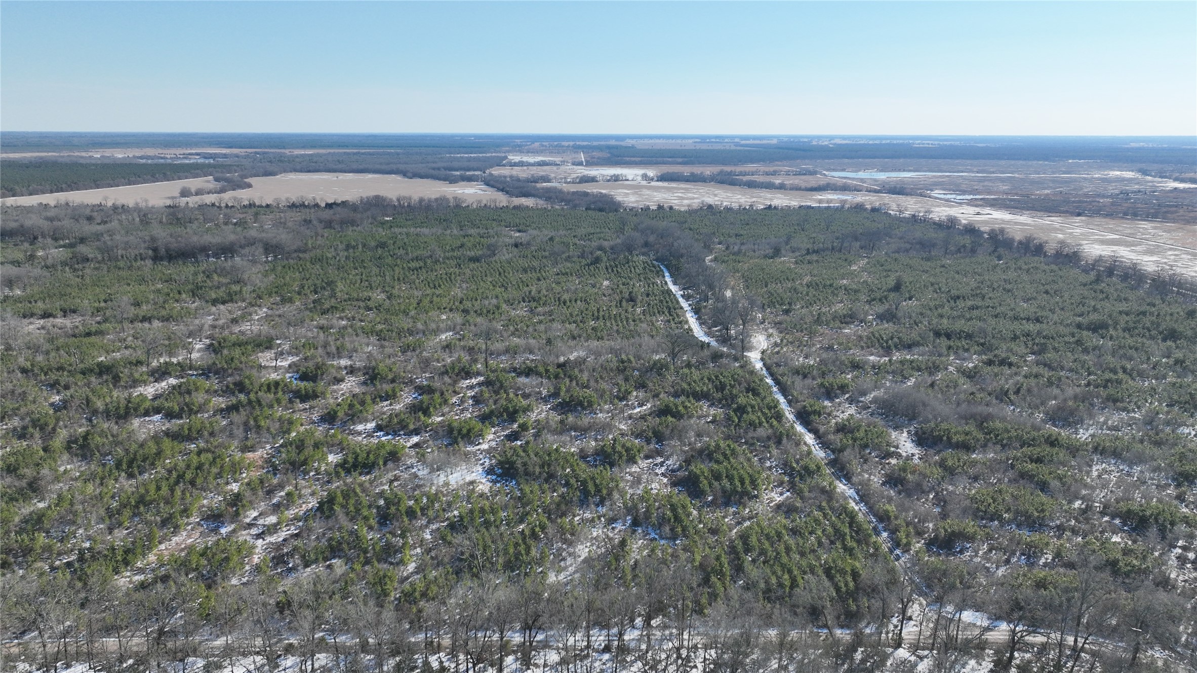 Tbd County Road 2242 Bagwell TX 75412