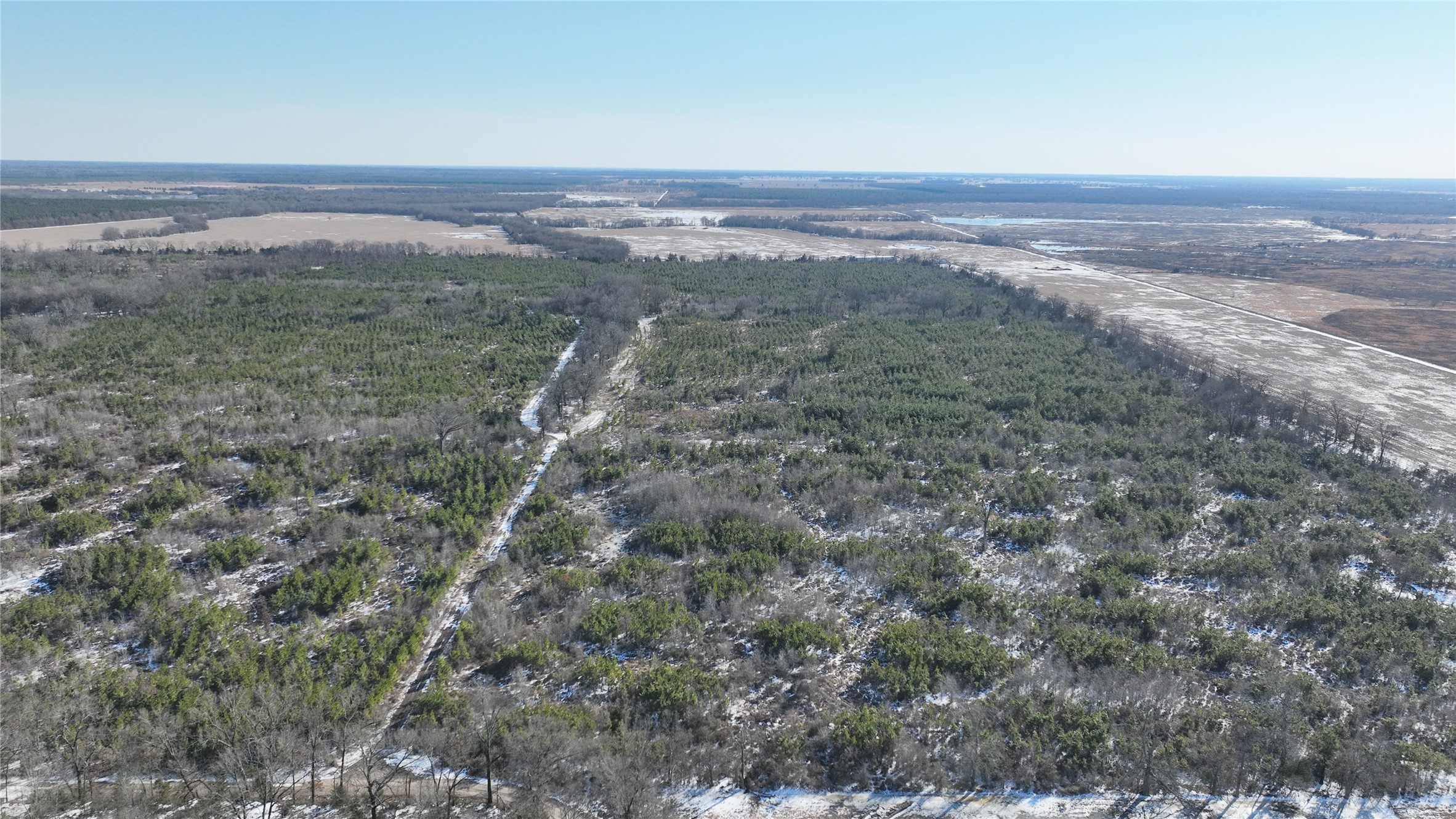 Tbd County Road 2242 Bagwell TX 75412