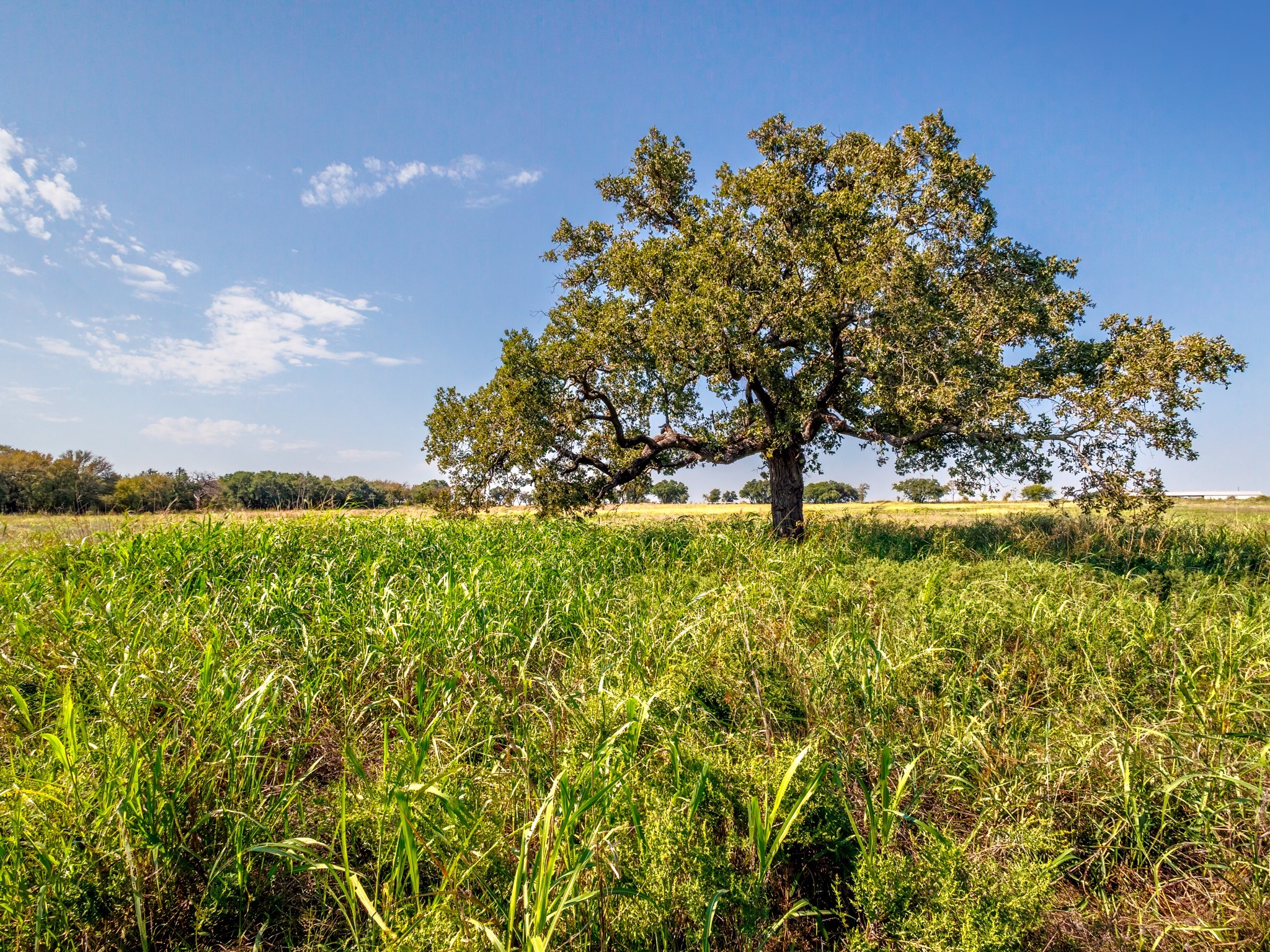 217 County Road 468 De Leon TX 76444