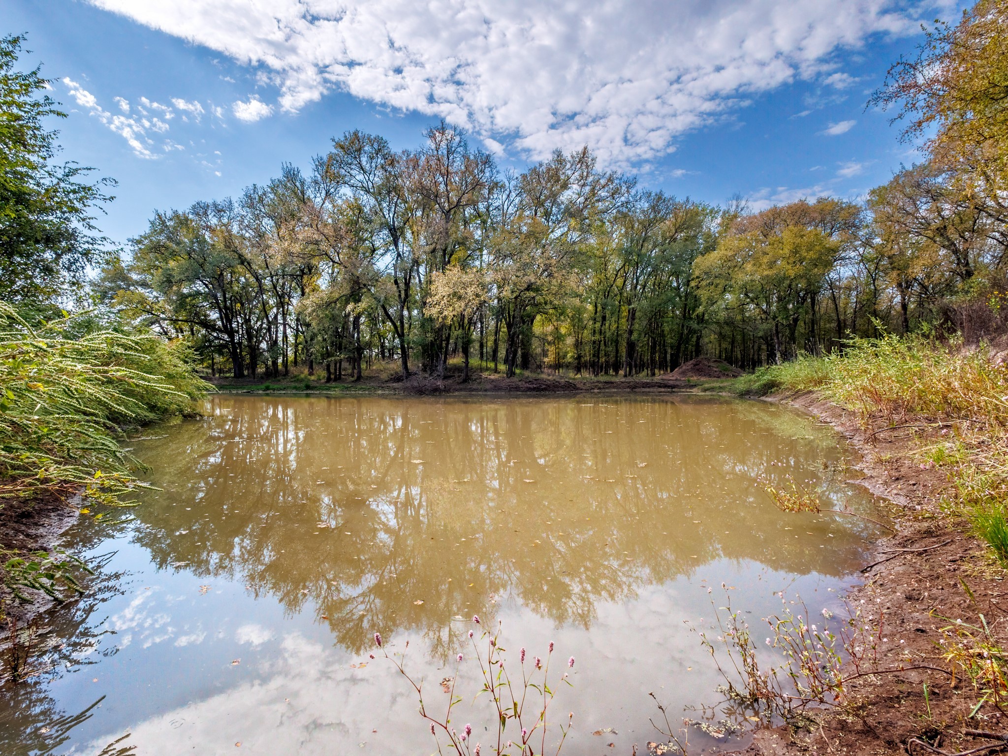 217 County Road 468 De Leon TX 76444