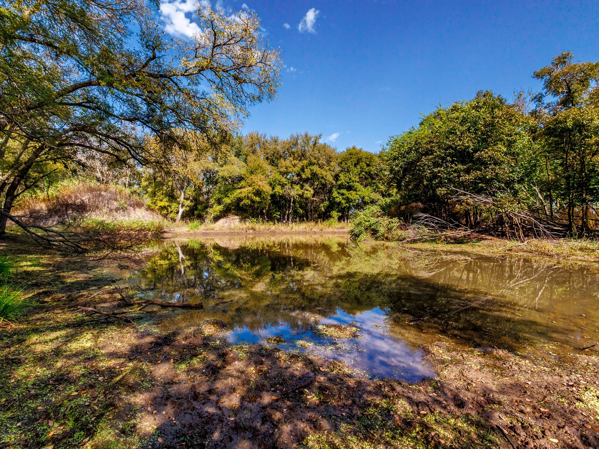 217 County Road 468 De Leon TX 76444